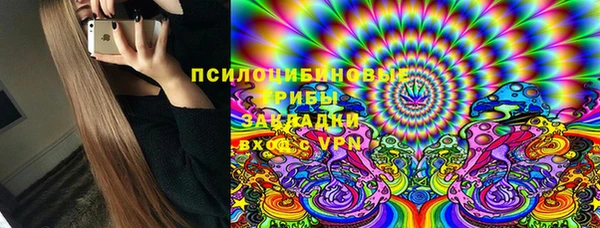 твердый Володарск