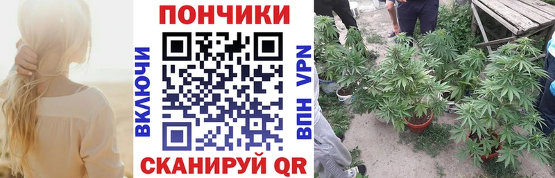 Купить где  Воткинск  Бошки марихуана SATIVA & INDICA 